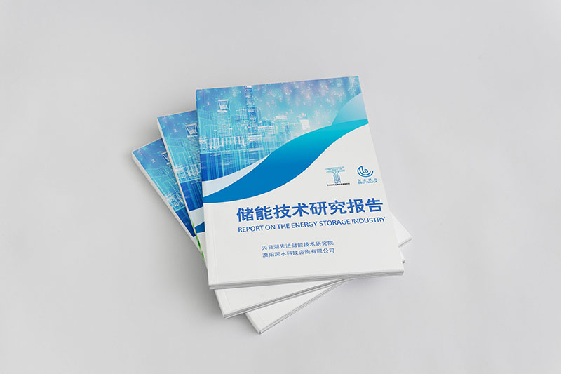 储能技术研究报告