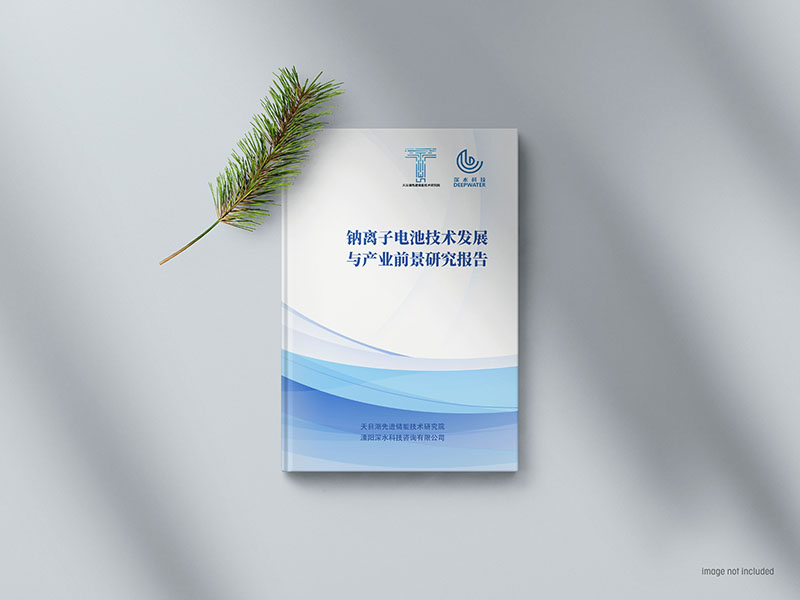 钠离子电池技术发展与产业前景研究报告